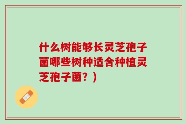 什么树能够长灵芝孢子菌哪些树种适合种植灵芝孢子菌？)