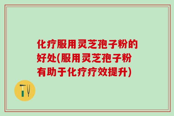服用灵芝孢子粉的好处(服用灵芝孢子粉有助于疗效提升)