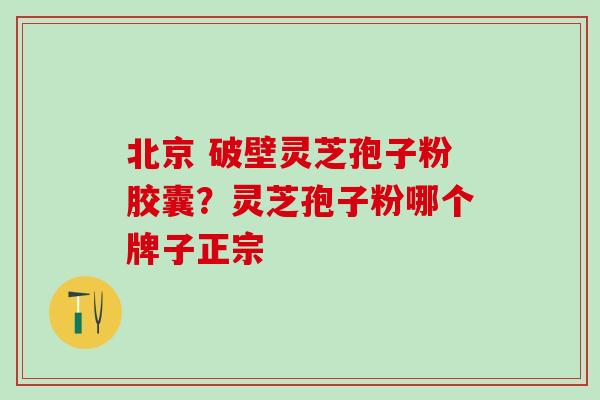 北京 破壁灵芝孢子粉胶囊？灵芝孢子粉哪个牌子正宗