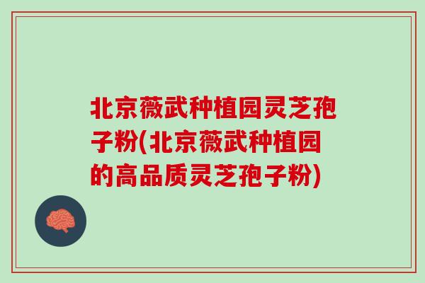 北京薇武种植园灵芝孢子粉(北京薇武种植园的高品质灵芝孢子粉)