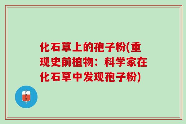 化石草上的孢子粉(重现史前植物：科学家在化石草中发现孢子粉)