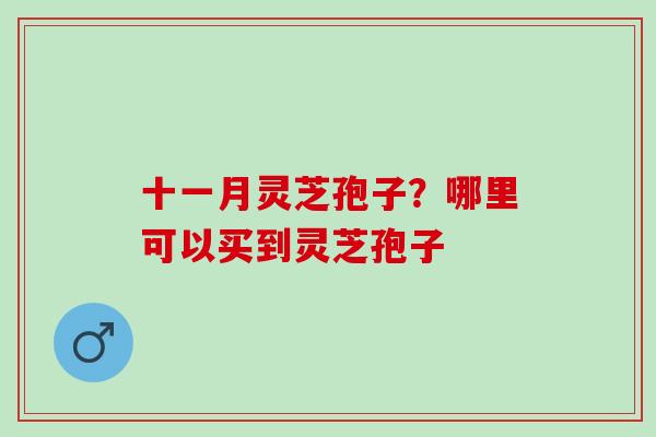 十一月灵芝孢子？哪里可以买到灵芝孢子