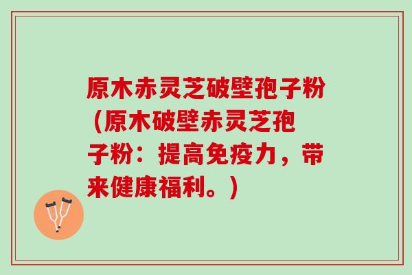 原木赤灵芝破壁孢子粉 (原木破壁赤灵芝孢子粉:提高免疫力,带来健康福利。) 原木赤灵芝破壁孢子粉 (原木破壁赤灵芝孢子粉:提高免疫力,带来健康福利。)
