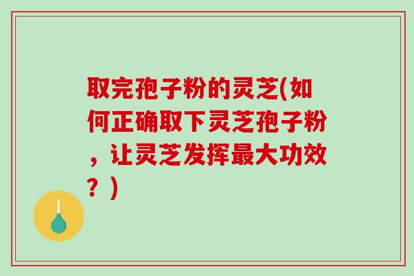 取完孢子粉的灵芝(如何正确取下灵芝孢子粉，让灵芝发挥大功效？)