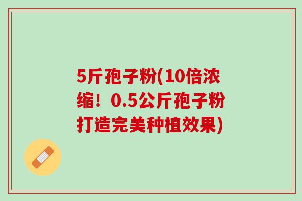 5斤孢子粉(10倍浓缩！0.5公斤孢子粉打造完美种植效果)