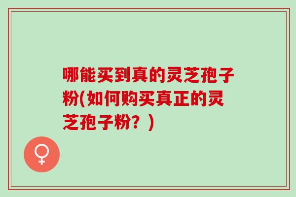 哪能买到真的灵芝孢子粉(如何购买真正的灵芝孢子粉？)