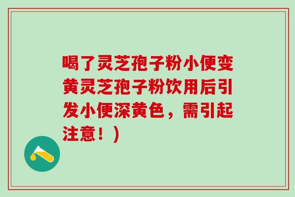喝了灵芝孢子粉小便变黄灵芝孢子粉饮用后引发小便深黄色，需引起注意！)