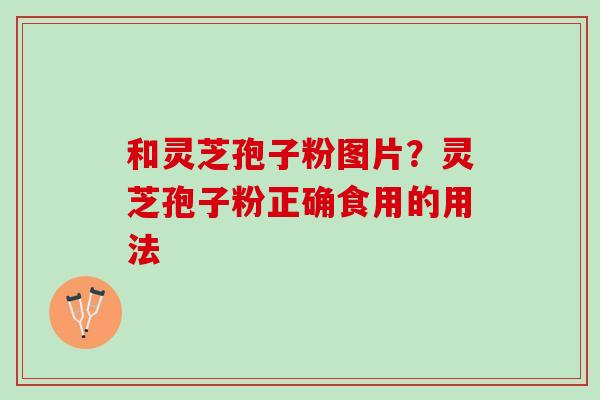 和灵芝孢子粉图片？灵芝孢子粉正确食用的用法