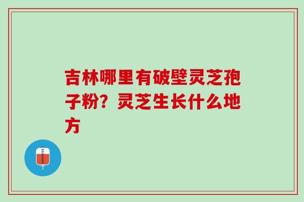 吉林哪里有破壁灵芝孢子粉？灵芝生长什么地方