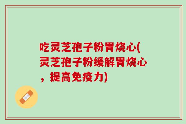 吃灵芝孢子粉胃烧心(灵芝孢子粉缓解胃烧心，提高免疫力)