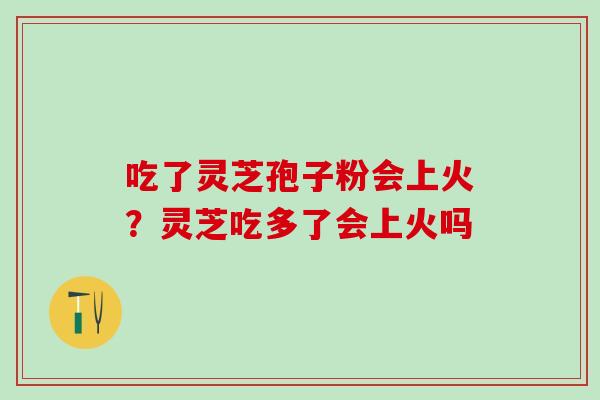 吃了灵芝孢子粉会上火?灵芝吃多了会上火吗 吃了灵芝孢子粉会上火?灵芝吃多了会上火吗