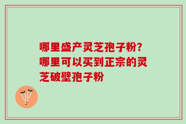 哪里盛产灵芝孢子粉？哪里可以买到正宗的灵芝破壁孢子粉