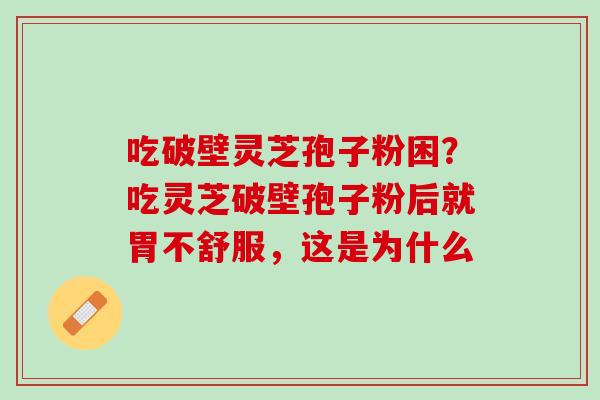 吃破壁灵芝孢子粉困?吃灵芝破壁孢子粉后就胃不舒服,这是为什么 吃破壁灵芝孢子粉困?吃灵芝破壁孢子粉后就胃不舒服,这是为什么