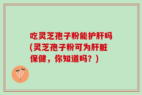吃灵芝孢子粉能护肝吗(灵芝孢子粉可为肝脏保健，你知道吗？)