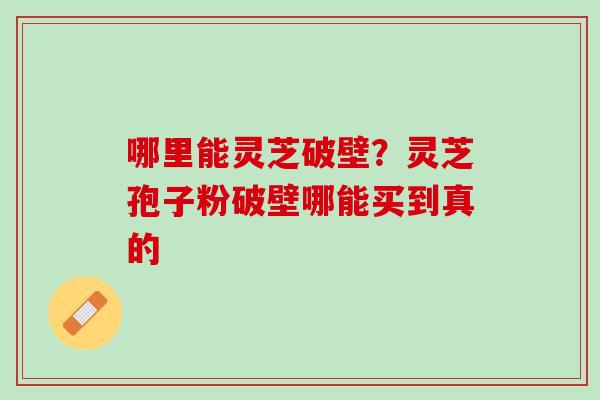哪里能灵芝破壁？灵芝孢子粉破壁哪能买到真的