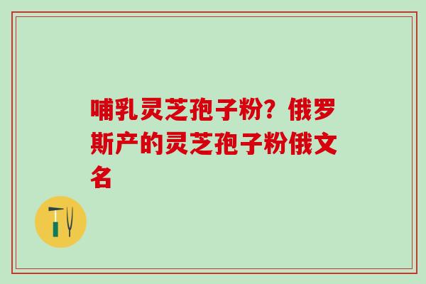 哺乳灵芝孢子粉?俄罗斯产的灵芝孢子粉俄文名 哺乳灵芝孢子粉?俄罗斯产的灵芝孢子粉俄文名