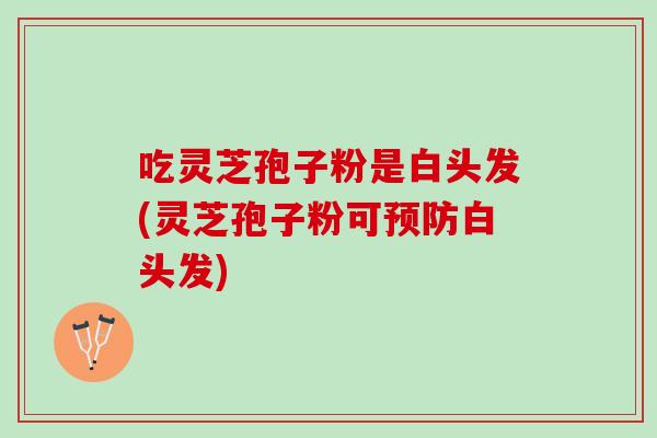 吃灵芝孢子粉是白头发(灵芝孢子粉可预防白头发)
