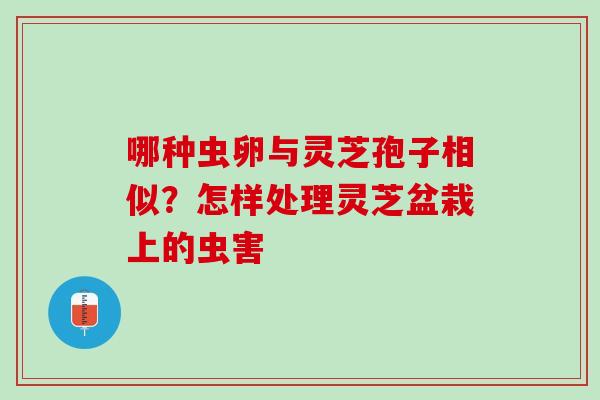 哪种虫卵与灵芝孢子相似？怎样处理灵芝盆栽上的虫害