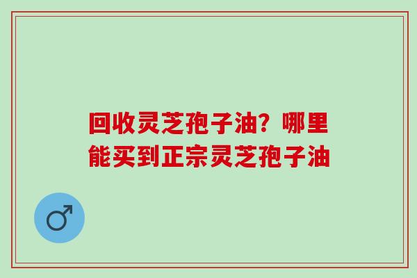 回收灵芝孢子油？哪里能买到正宗灵芝孢子油