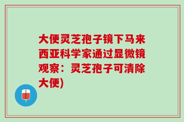 大便灵芝孢子镜下马来西亚科学家通过显微镜观察:灵芝孢子可清除大便) 大便灵芝孢子镜下马来西亚科学家通过显微镜观察:灵芝孢子可清除大便)