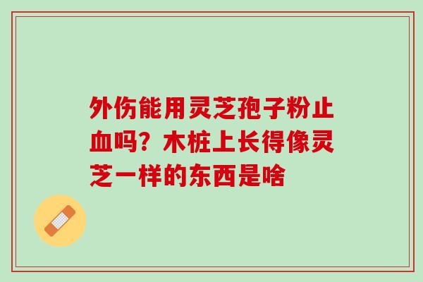 外伤能用灵芝孢子粉止血吗？木桩上长得像灵芝一样的东西是啥