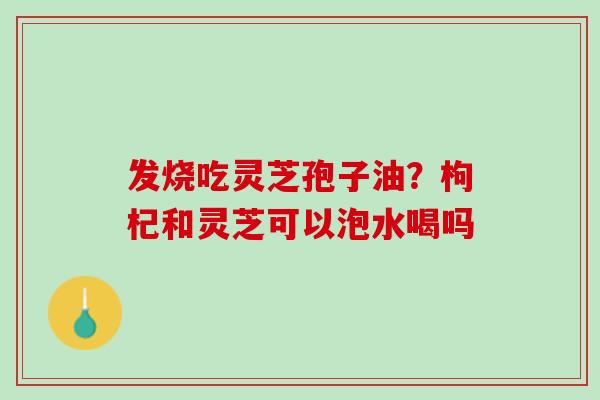 发烧吃灵芝孢子油?枸杞和灵芝可以泡水喝吗 发烧吃灵芝孢子油?枸杞和灵芝可以泡水喝吗