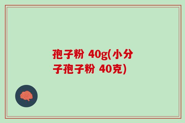 孢子粉 40g(小分子孢子粉 40克)