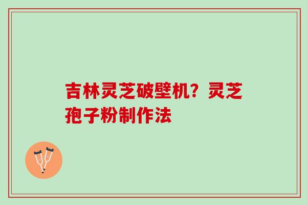 吉林灵芝破壁机？灵芝孢子粉制作法