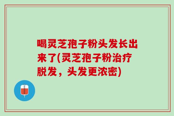 喝灵芝孢子粉头发长出来了(灵芝孢子粉治疗脱发，头发更浓密)