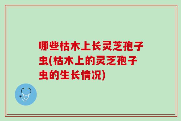 哪些枯木上长灵芝孢子虫(枯木上的灵芝孢子虫的生长情况)