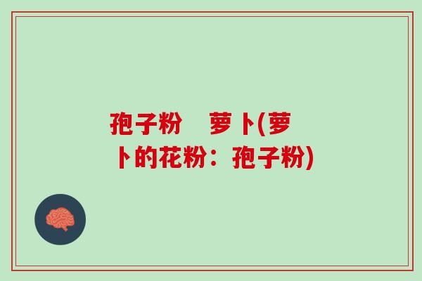 孢子粉   萝卜(萝卜的花粉：孢子粉)