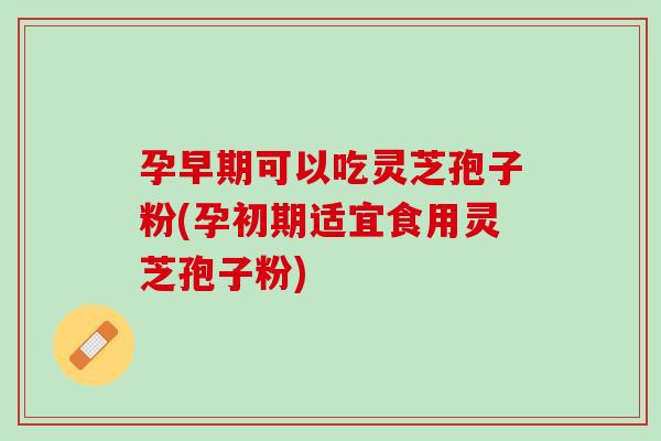 孕早期可以吃灵芝孢子粉(孕初期适宜食用灵芝孢子粉) 孕早期可以吃灵芝孢子粉(孕初期适宜食用灵芝孢子粉)