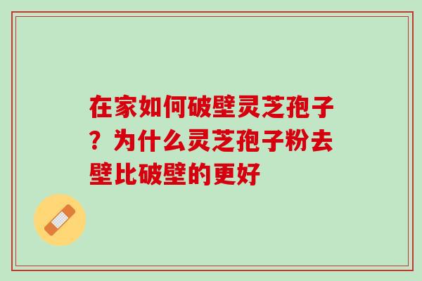 在家如何破壁灵芝孢子？为什么灵芝孢子粉去壁比破壁的更好
