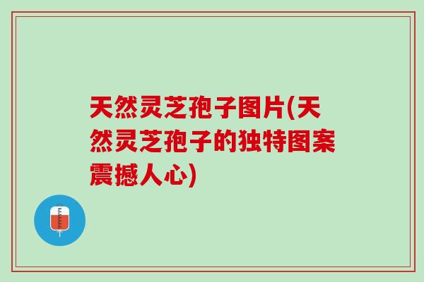 天然灵芝孢子图片(天然灵芝孢子的独特图案震撼人心)