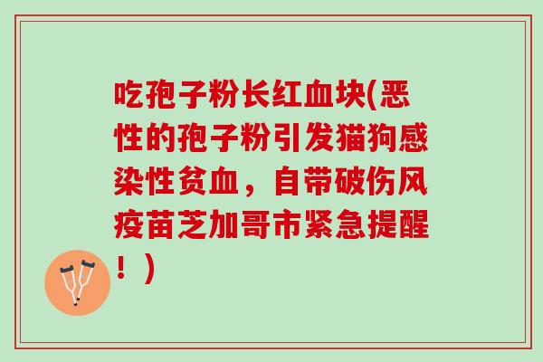 吃孢子粉长红块(恶性的孢子粉引发猫狗性贫,自带破伤风疫苗芝加哥市紧急提醒!) 吃孢子粉长红块(恶性的孢子粉引发猫狗性贫,自带破伤风疫苗芝加哥市紧急提醒!)