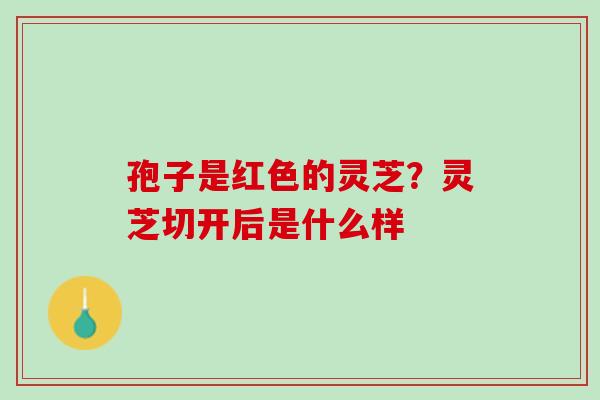 孢子是红色的灵芝?灵芝切开后是什么样 孢子是红色的灵芝?灵芝切开后是什么样