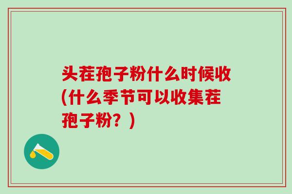 头茬孢子粉什么时候收(什么季节可以收集茬孢子粉？)