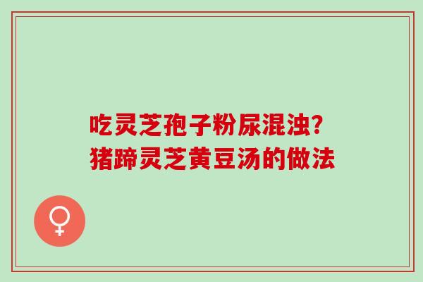 吃灵芝孢子粉尿混浊?猪蹄灵芝黄豆汤的做法 吃灵芝孢子粉尿混浊?猪蹄灵芝黄豆汤的做法