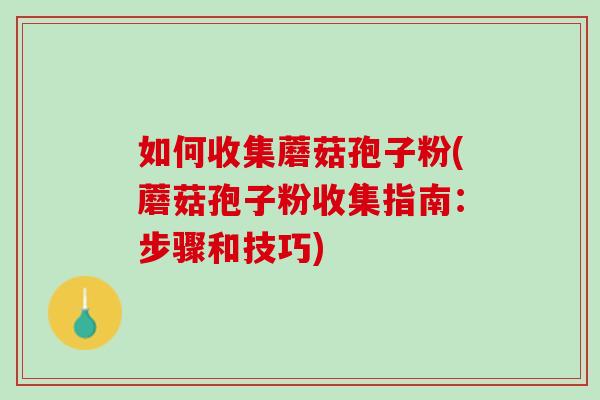 如何收集蘑菇孢子粉(蘑菇孢子粉收集指南:步骤和技巧) 如何收集蘑菇孢子粉(蘑菇孢子粉收集指南:步骤和技巧)