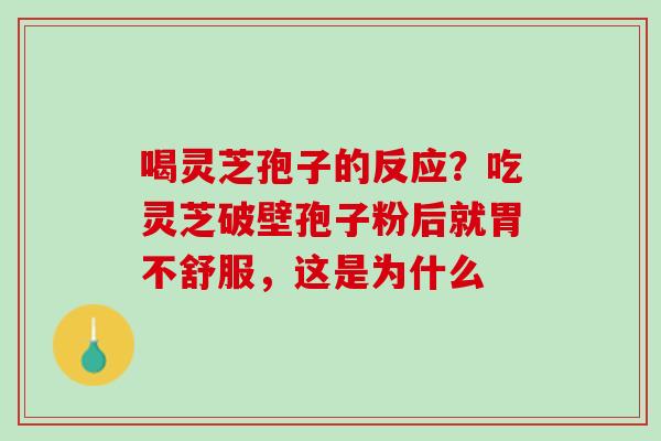 喝灵芝孢子的反应？吃灵芝破壁孢子粉后就胃不舒服，这是为什么