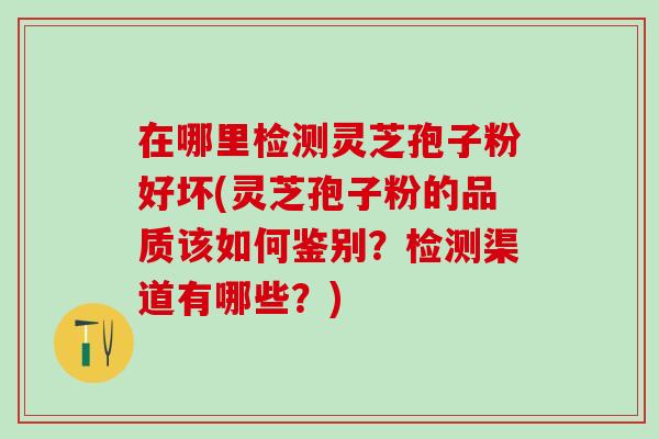在哪里检测灵芝孢子粉好坏(灵芝孢子粉的品质该如何鉴别？检测渠道有哪些？)