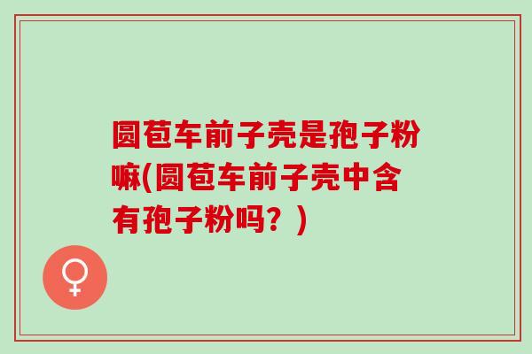 圆苞车前子壳是孢子粉嘛(圆苞车前子壳中含有孢子粉吗？)
