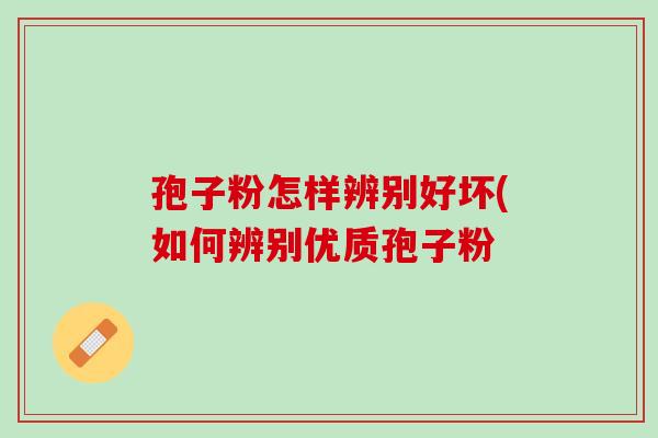 孢子粉怎样辨别好坏(如何辨别优质孢子粉 孢子粉怎样辨别好坏(如何辨别优质孢子粉