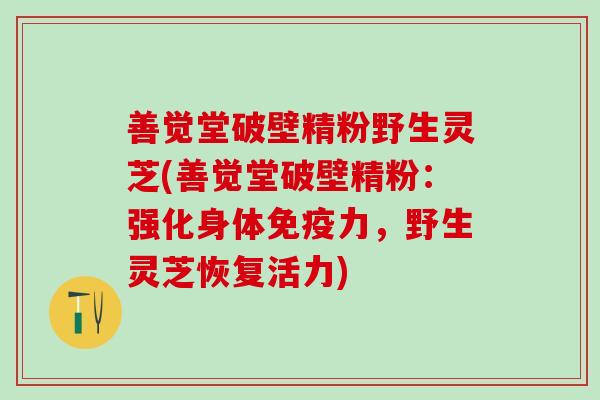 善觉堂破壁精粉野生灵芝(善觉堂破壁精粉:强化身体免疫力,野生灵芝恢复活力) 善觉堂破壁精粉野生灵芝(善觉堂破壁精粉:强化身体免疫力,野生灵芝恢复活力)