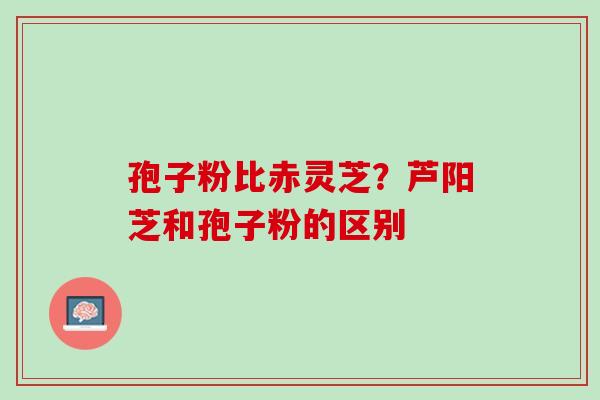 孢子粉比赤灵芝？芦阳芝和孢子粉的区别