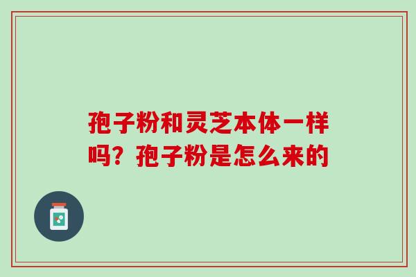 孢子粉和灵芝本体一样吗？孢子粉是怎么来的
