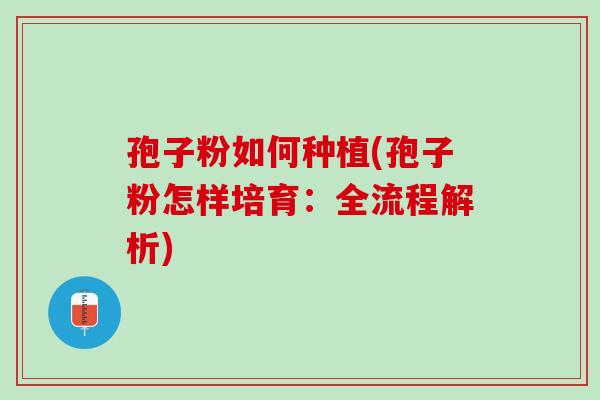 孢子粉如何种植(孢子粉怎样培育：全流程解析)