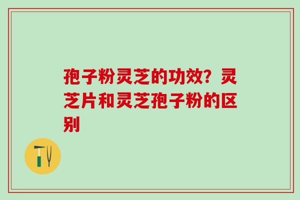 孢子粉灵芝的功效?灵芝片和灵芝孢子粉的区别 孢子粉灵芝的功效?灵芝片和灵芝孢子粉的区别