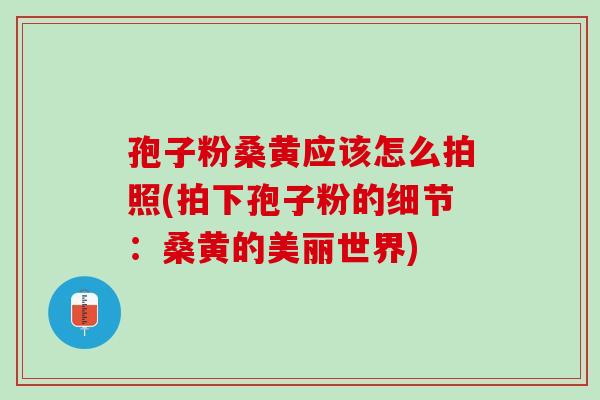 孢子粉桑黄应该怎么拍照(拍下孢子粉的细节：桑黄的美丽世界)