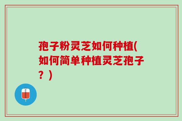 孢子粉灵芝如何种植(如何简单种植灵芝孢子?) 孢子粉灵芝如何种植(如何简单种植灵芝孢子?)
